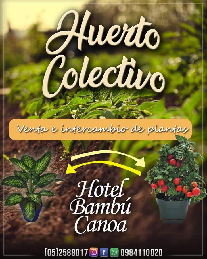 Hotel Bambú Canoa Bagian luar foto